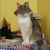 Отзыв от Ираида Сухова